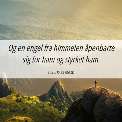 Picture 06 - Lukas 22:43 NORSK - Og en engel fra himmelen åpenbarte sig for ham - Bible Verse Picture