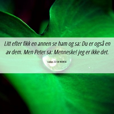 Picture 06 - Lukas 22:58 NORSK - Litt efter fikk en annen se ham og sa: Du er - Bible Verse Picture