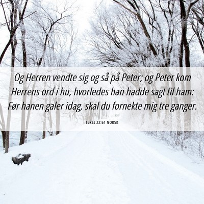Picture 06 - Lukas 22:61 NORSK - Og Herren vendte sig og så på Peter; og Peter - Bible Verse Picture