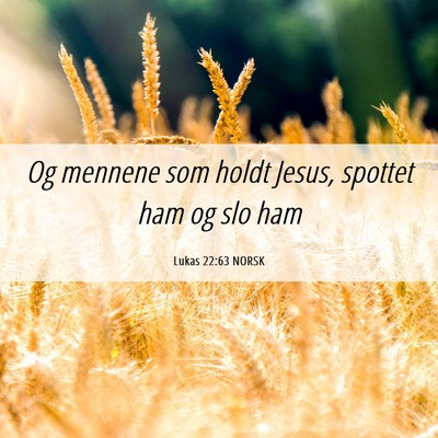 Picture 06 - Lukas 22:63 NORSK - Og mennene som holdt Jesus, spottet ham og slo - Bible Verse Picture