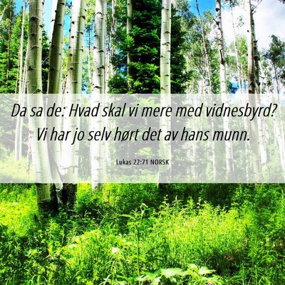 Picture 06 - Lukas 22:71 NORSK - Da sa de: Hvad skal vi mere med vidnesbyrd? Vi - Bible Verse Picture