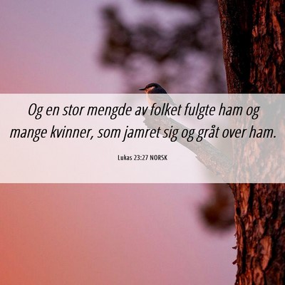 Picture 06 - Lukas 23:27 NORSK - Og en stor mengde av folket fulgte ham og mange - Bible Verse Picture