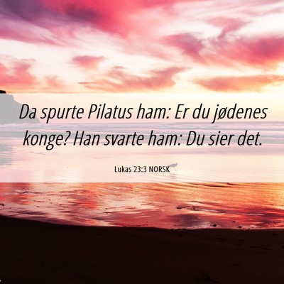 Picture 06 - Lukas 23:3 NORSK - Da spurte Pilatus ham: Er du jødenes konge? Han - Bible Verse Picture