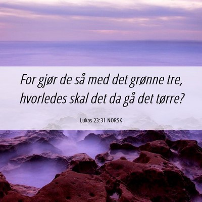 Picture 06 - Lukas 23:31 NORSK - For gjør de så med det grønne tre, hvorledes - Bible Verse Picture