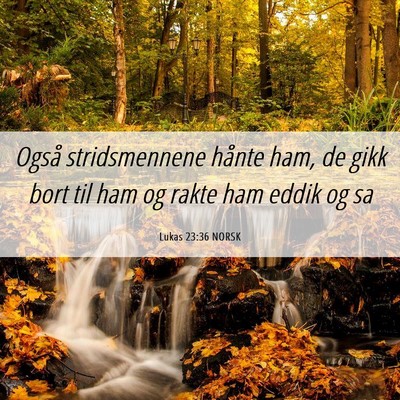 Picture 06 - Lukas 23:36 NORSK - Også stridsmennene hånte ham, de gikk bort til - Bible Verse Picture