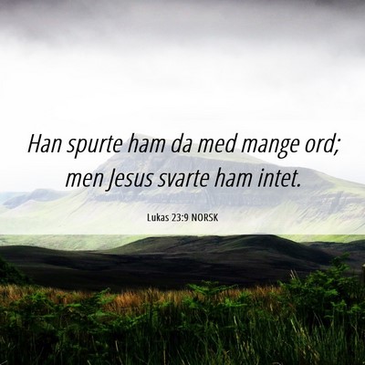 Picture 06 - Lukas 23:9 NORSK - Han spurte ham da med mange ord; men Jesus svarte - Bible Verse Picture