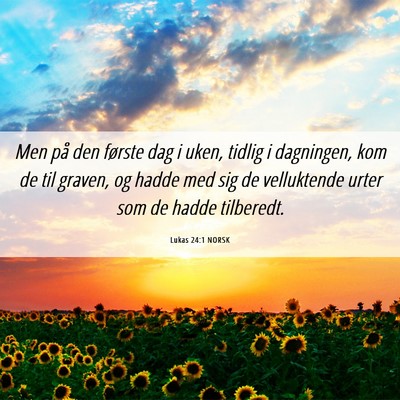 Picture 06 - Lukas 24:1 NORSK - Men på den første dag i uken, tidlig i - Bible Verse Picture