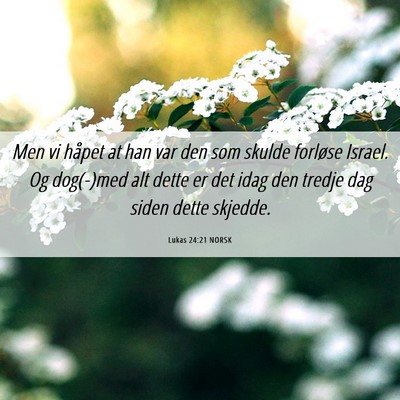 Picture 06 - Lukas 24:21 NORSK - Men vi håpet at han var den som skulde forløse - Bible Verse Picture
