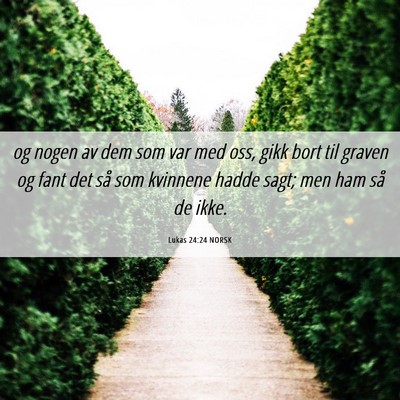 Picture 06 - Lukas 24:24 NORSK - og nogen av dem som var med oss, gikk bort til - Bible Verse Picture