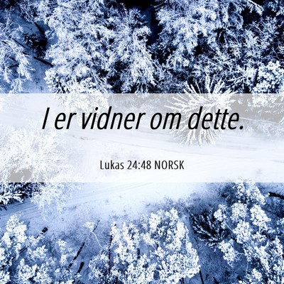 Picture 06 - Lukas 24:48 NORSK - I er vidner om - Bible Verse Picture