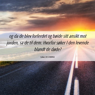 Picture 06 - Lukas 24:5 NORSK - og da de blev forferdet og bøide sitt ansikt mot - Bible Verse Picture