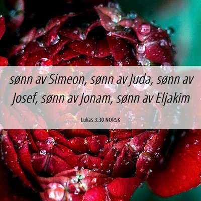 Picture 06 - Lukas 3:30 NORSK - sønn av Simeon, sønn av Juda, sønn av Josef, - Bible Verse Picture