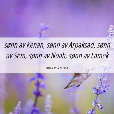 Picture 06 - Lukas 3:36 NORSK - sønn av Kenan, sønn av Arpaksad, sønn av Sem, - Bible Verse Picture