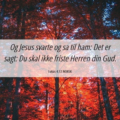 Picture 06 - Lukas 4:12 NORSK - Og Jesus svarte og sa til ham: Det er sagt: Du - Bible Verse Picture