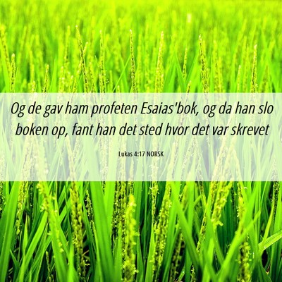 Picture 06 - Lukas 4:17 NORSK - Og de gav ham profeten Esaias'bok, og da han slo - Bible Verse Picture