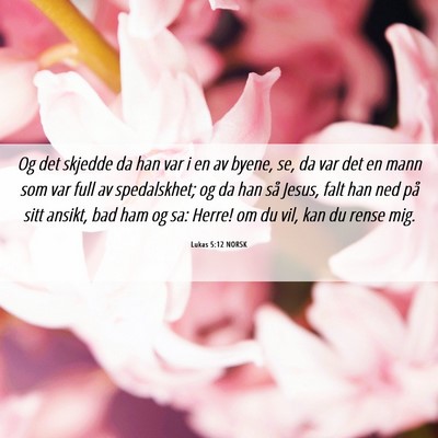 Picture 06 - Lukas 5:12 NORSK - Og det skjedde da han var i en av byene, se, da - Bible Verse Picture