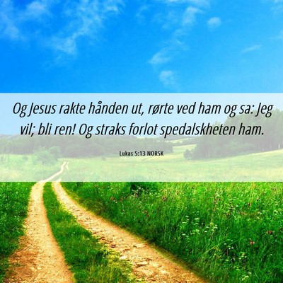 Picture 06 - Lukas 5:13 NORSK - Og Jesus rakte hånden ut, rørte ved ham og sa: - Bible Verse Picture