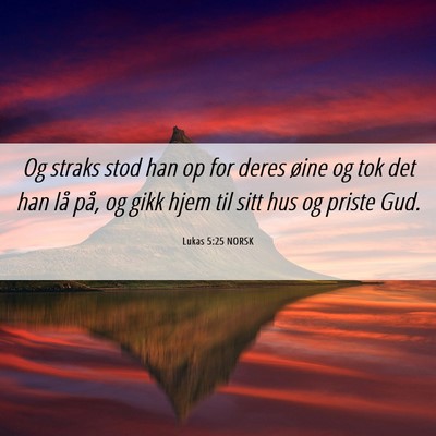 Picture 06 - Lukas 5:25 NORSK - Og straks stod han op for deres øine og tok det - Bible Verse Picture