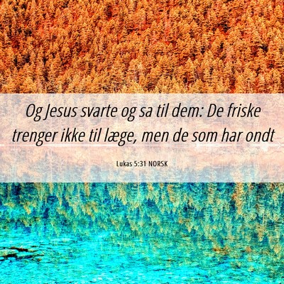 Picture 06 - Lukas 5:31 NORSK - Og Jesus svarte og sa til dem: De friske trenger - Bible Verse Picture