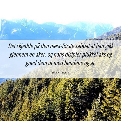 Picture 06 - Lukas 6:1 NORSK - Det skjedde på den næst-første sabbat at han - Bible Verse Picture