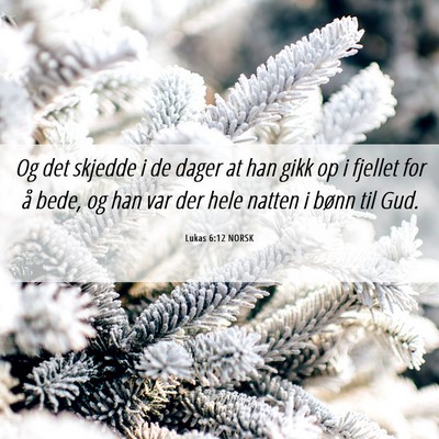 Picture 06 - Lukas 6:12 NORSK - Og det skjedde i de dager at han gikk op i - Bible Verse Picture