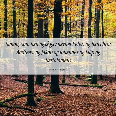 Picture 06 - Lukas 6:14 NORSK - Simon, som han også gav navnet Peter, og hans - Bible Verse Picture