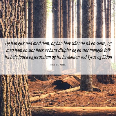 Picture 06 - Lukas 6:17 NORSK - Og han gikk ned med dem, og han blev stående på - Bible Verse Picture