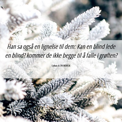 Picture 06 - Lukas 6:39 NORSK - Han sa også en lignelse til dem: Kan en blind - Bible Verse Picture