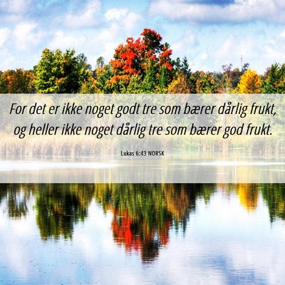 Picture 06 - Lukas 6:43 NORSK - For det er ikke noget godt tre som bærer dårlig - Bible Verse Picture