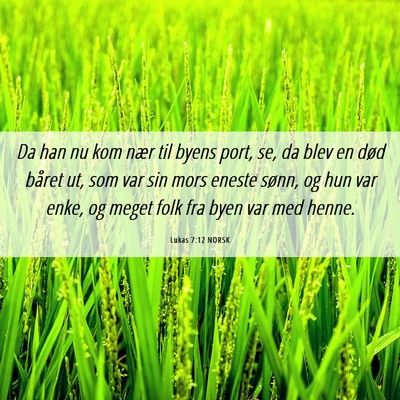 Picture 06 - Lukas 7:12 NORSK - Da han nu kom nær til byens port, se, da blev en - Bible Verse Picture