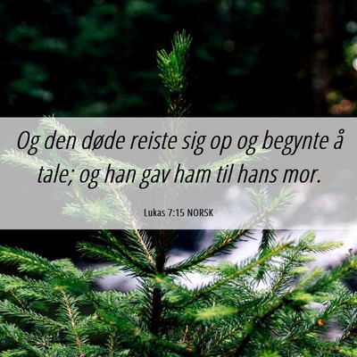 Picture 06 - Lukas 7:15 NORSK - Og den døde reiste sig op og begynte å tale; og - Bible Verse Picture
