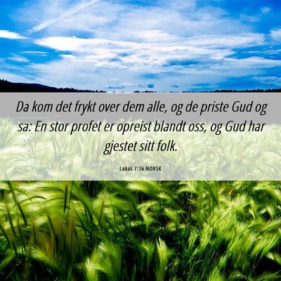 Picture 06 - Lukas 7:16 NORSK - Da kom det frykt over dem alle, og de priste Gud - Bible Verse Picture