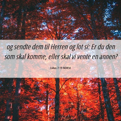 Picture 06 - Lukas 7:19 NORSK - og sendte dem til Herren og lot si: Er du den som - Bible Verse Picture