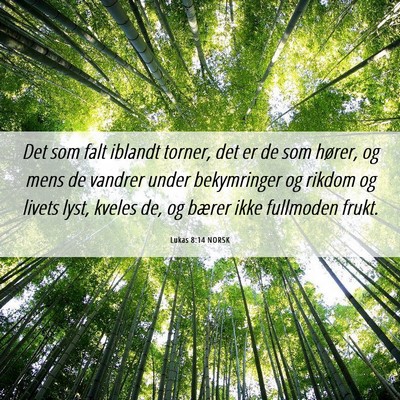 Picture 06 - Lukas 8:14 NORSK - Det som falt iblandt torner, det er de som - Bible Verse Picture