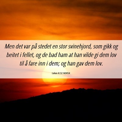 Picture 06 - Lukas 8:32 NORSK - Men det var på stedet en stor svinehjord, som - Bible Verse Picture