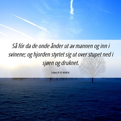 Picture 06 - Lukas 8:33 NORSK - Så fór da de onde ånder ut av mannen og inn i - Bible Verse Picture
