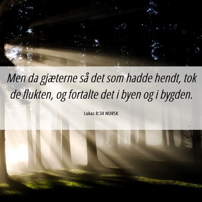 Picture 06 - Lukas 8:34 NORSK - Men da gjæterne så det som hadde hendt, tok de - Bible Verse Picture