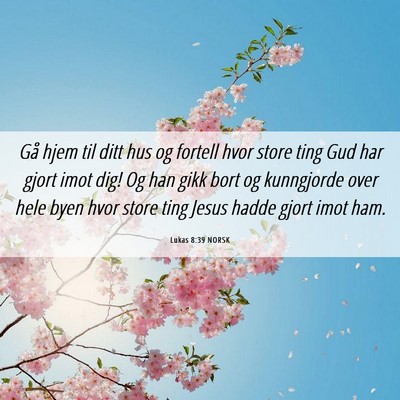 Picture 06 - Lukas 8:39 NORSK - Gå hjem til ditt hus og fortell hvor store ting - Bible Verse Picture