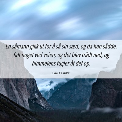 Picture 06 - Lukas 8:5 NORSK - En såmann gikk ut for å så sin sæd, og da han - Bible Verse Picture