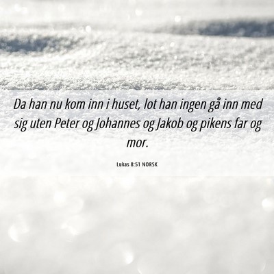Picture 06 - Lukas 8:51 NORSK - Da han nu kom inn i huset, lot han ingen gå inn - Bible Verse Picture