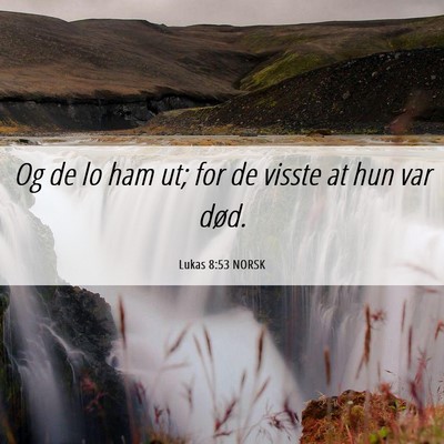 Picture 06 - Lukas 8:53 NORSK - Og de lo ham ut; for de visste at hun var - Bible Verse Picture