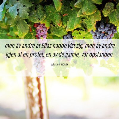 Picture 06 - Lukas 9:8 NORSK - men av andre at Elias hadde vist sig, men av - Bible Verse Picture