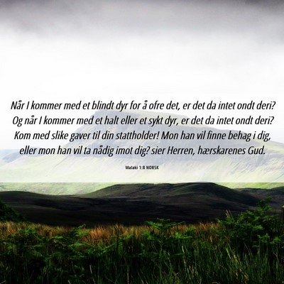 Picture 06 - Malaki 1:8 NORSK - Når I kommer med et blindt dyr for å ofre det, - Bible Verse Picture