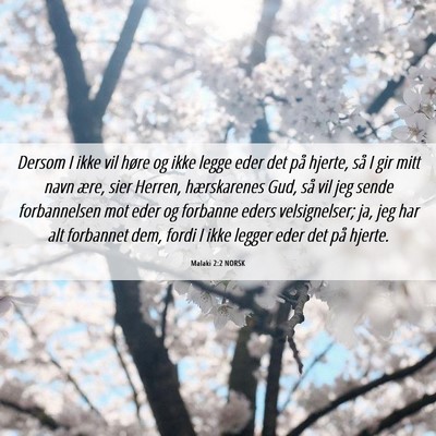 Picture 06 - Malaki 2:2 NORSK - Dersom I ikke vil høre og ikke legge eder det - Bible Verse Picture