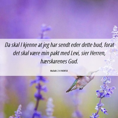 Picture 06 - Malaki 2:4 NORSK - Da skal I kjenne at jeg har sendt eder dette bud, - Bible Verse Picture