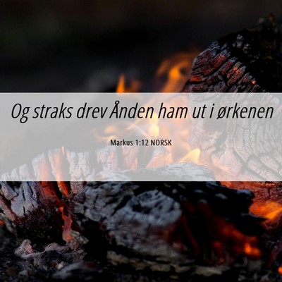Picture 06 - Markus 1:12 NORSK - Og straks drev Ånden ham ut i - Bible Verse Picture