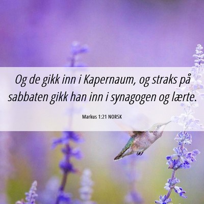 Picture 06 - Markus 1:21 NORSK - Og de gikk inn i Kapernaum, og straks på - Bible Verse Picture