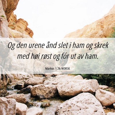 Picture 06 - Markus 1:26 NORSK - Og den urene ånd slet i ham og skrek med høi - Bible Verse Picture