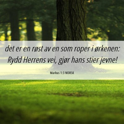 Picture 06 - Markus 1:3 NORSK - det er en røst av en som roper i ørkenen: Rydd - Bible Verse Picture