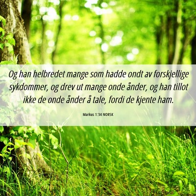 Picture 06 - Markus 1:34 NORSK - Og han helbredet mange som hadde ondt av - Bible Verse Picture